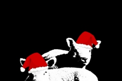 Merry Lambness