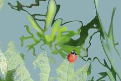 Ladybird on the Munch