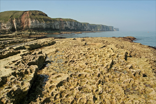 Rocks at Thornwick Bay